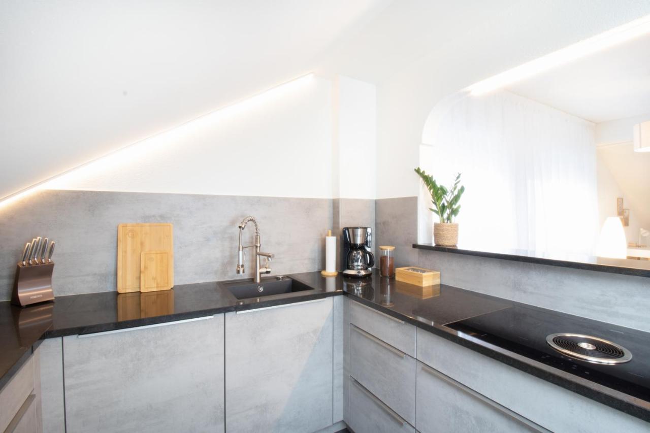 Loewe Apartment Blau Нойхаузен-ам-Райнфалль Экстерьер фото