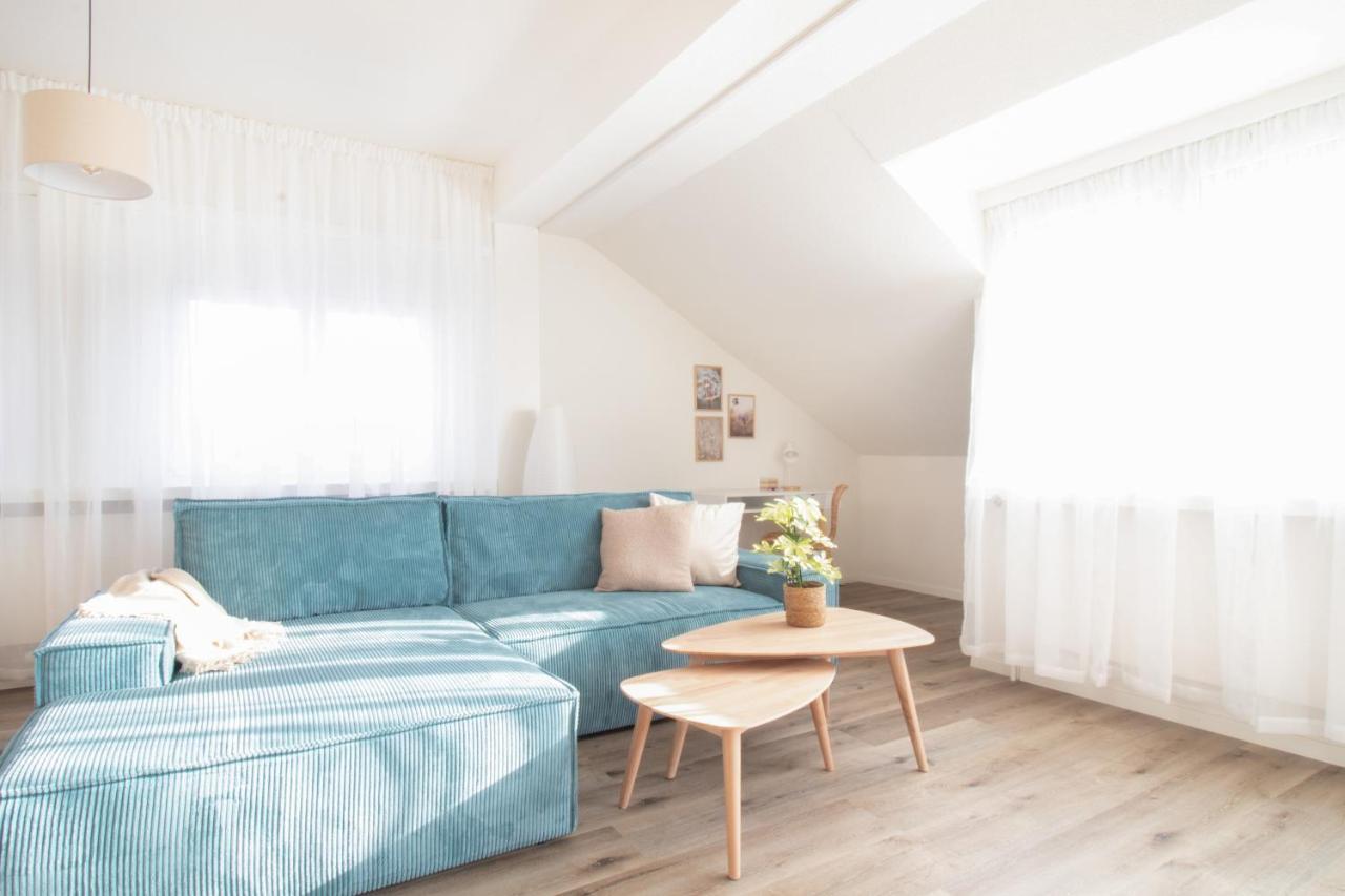 Loewe Apartment Blau Нойхаузен-ам-Райнфалль Экстерьер фото